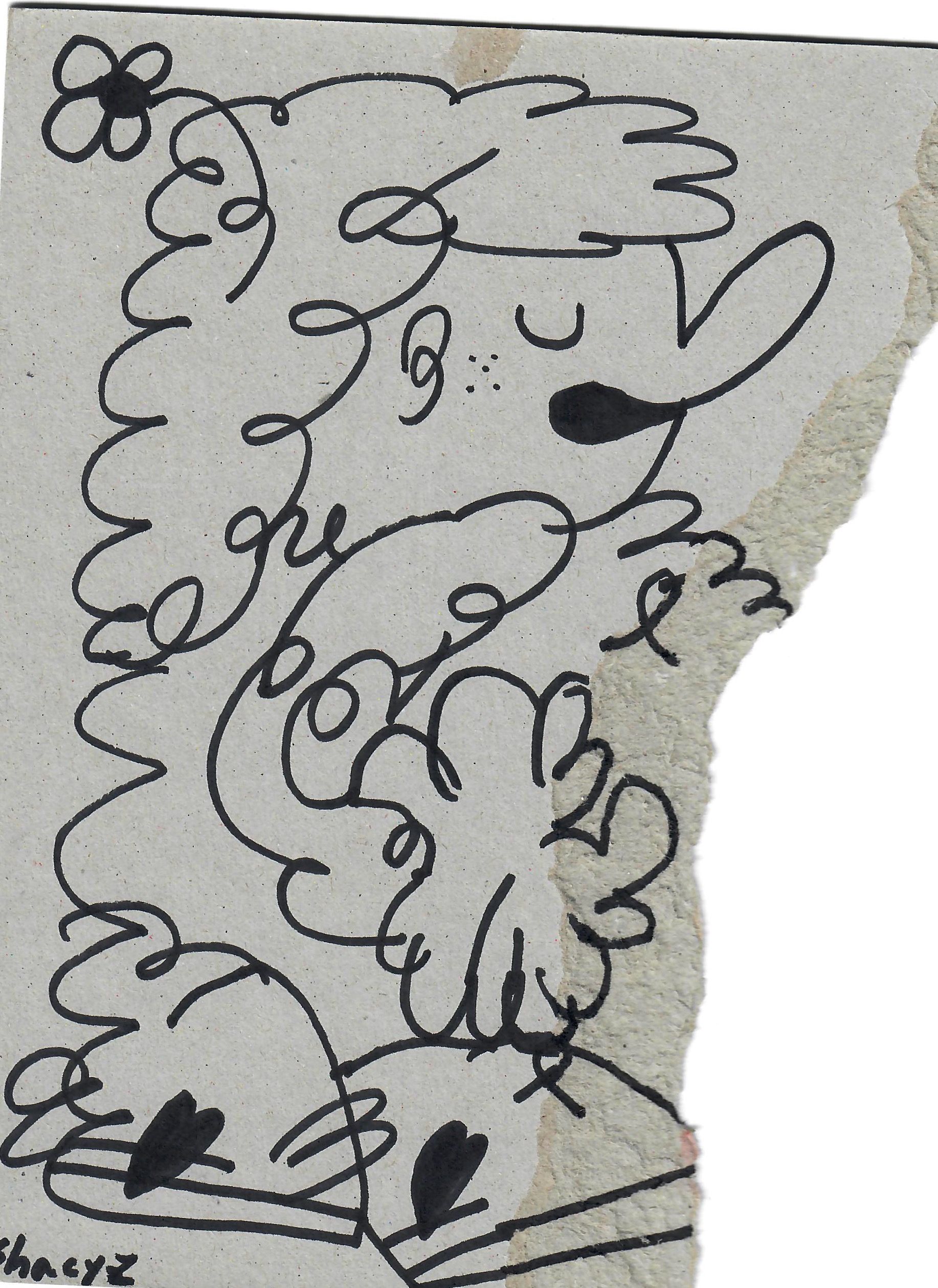My daily doodle